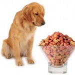 Pet Supplies